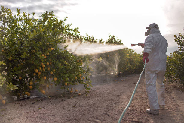 Pest Control Cost in Pender, NE