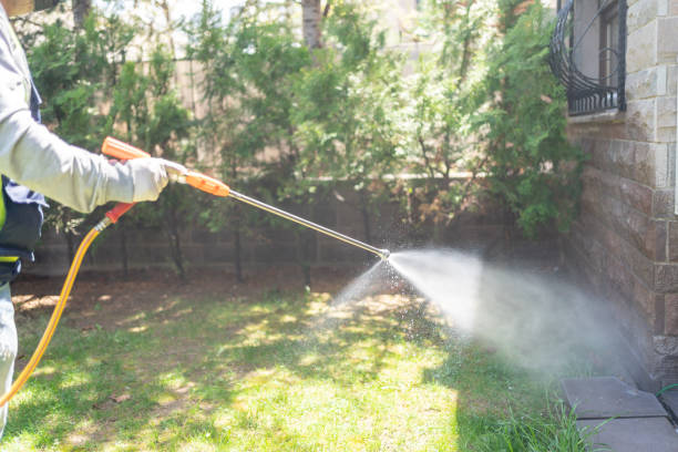 Insect Control in Pender, NE