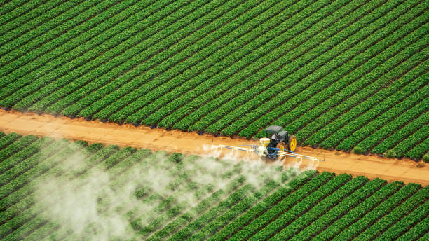 Best Pest Prevention Services  in Pender, NE