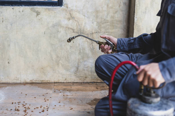 Best Affordable Pest Control Services  in Pender, NE